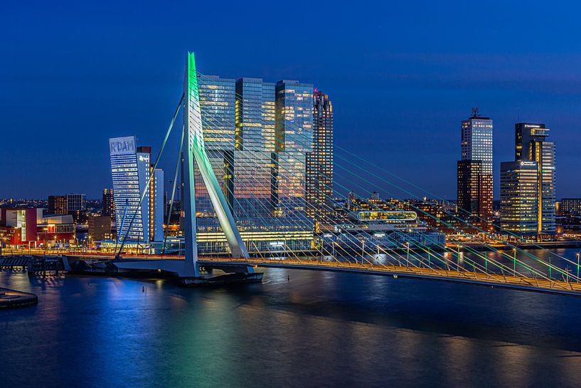 Erasmusbrug Rotterdam by Leon van der Velden