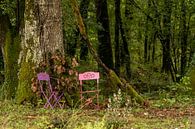 Roze Franse stoeltjes in het bos van Diana Kors thumbnail