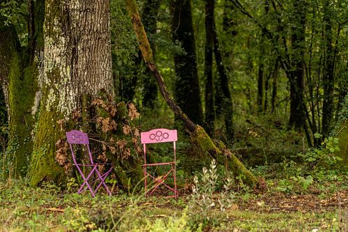 Roze Franse stoeltjes in het bos