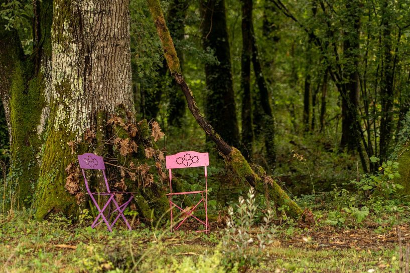 Roze Franse stoeltjes in het bos van Diana Kors