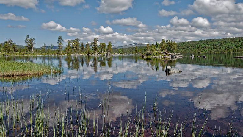 Norwegen, Naturreservat Gutulia. par Michael Schreier
