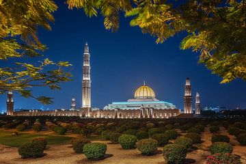 Sultan Qaboos Mosque van Bart Hendrix