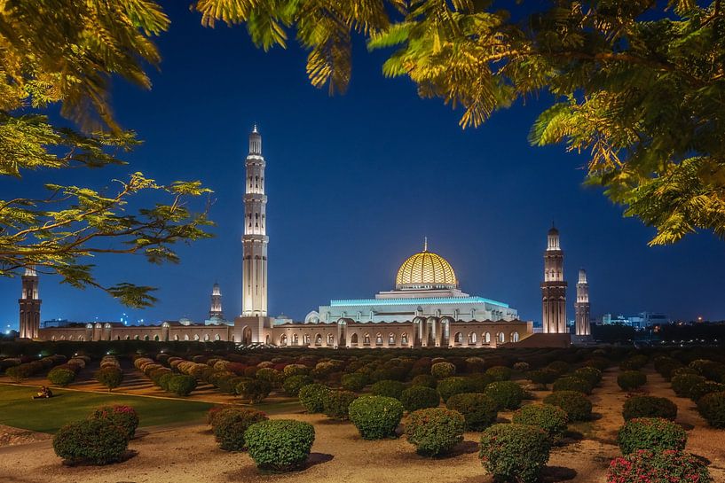 Sultan Qaboos Mosque van Bart Hendrix