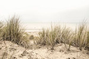 Duinen met frisse ochtend nevel. van Alie Ekkelenkamp