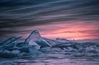 Toros Baikalmeer van Peter Poppe thumbnail