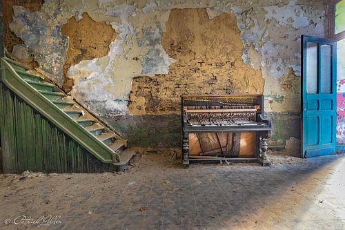 Charbonnage de Forte taille