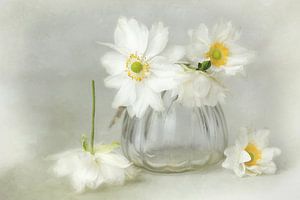 Symphonie de fleurs - bella white