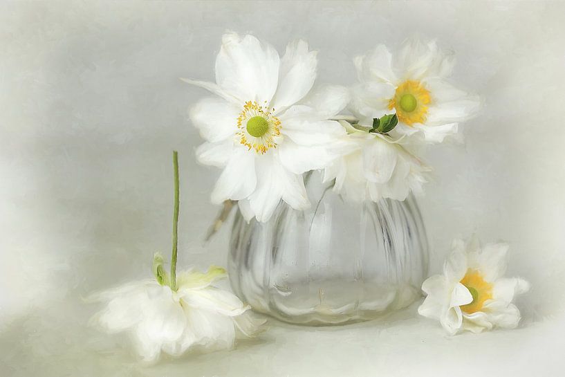 Flower Symphony - bella white von Lizzy Pe