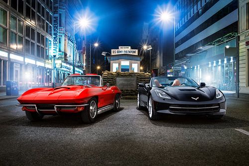 Luipaarden met vrouw