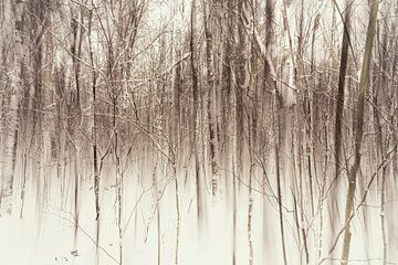 snow by Nic Opdam Fotografie