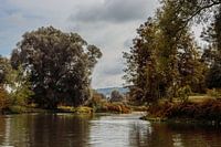 Herfst aan de maas