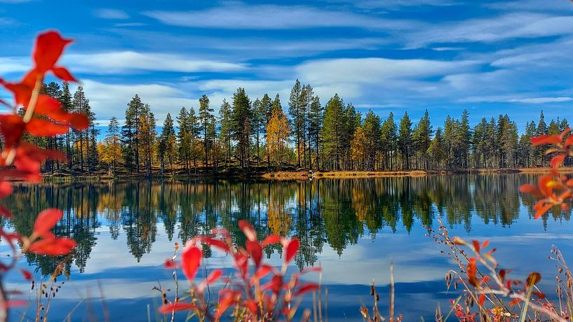 Golden autumn in Lapland - idyllic nature at Myrkulla Lodge by Fototante