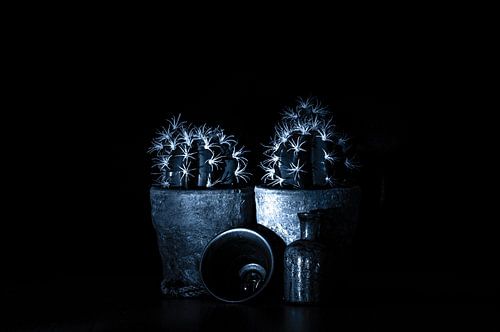 Black and white still life of cactus, bell and more....