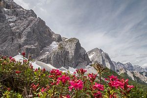 Lafatschertal