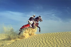 Bedouin on horseback on sand dune