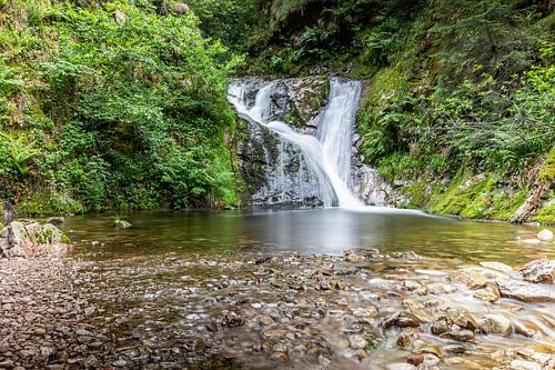 Belle cascade dans la Forêt-Noire
