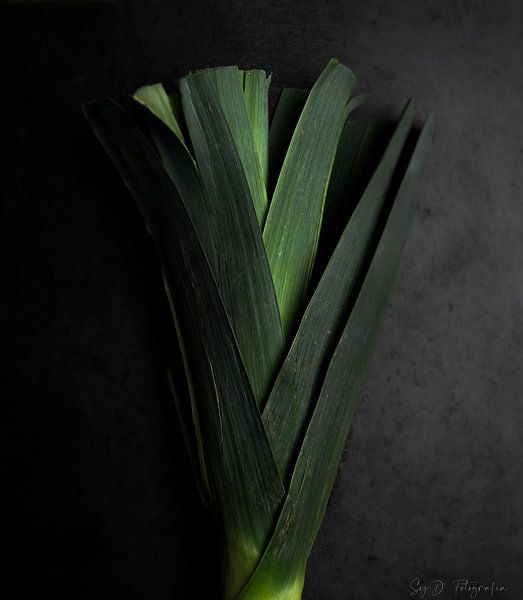 Nog steeds groen van SyD Fotografia