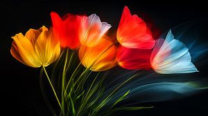 Tanzende Tulpen
