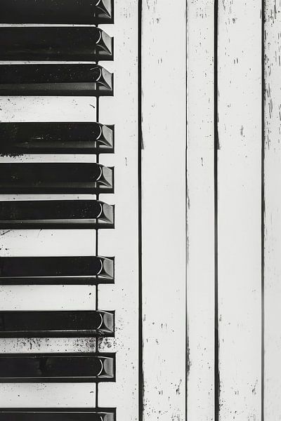Sounds in black and white by Poster Art Shop