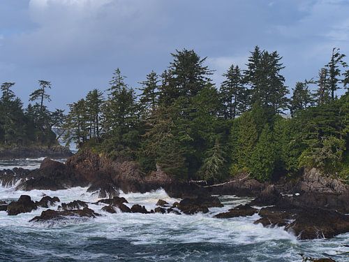 Wilde Pacifische Kust