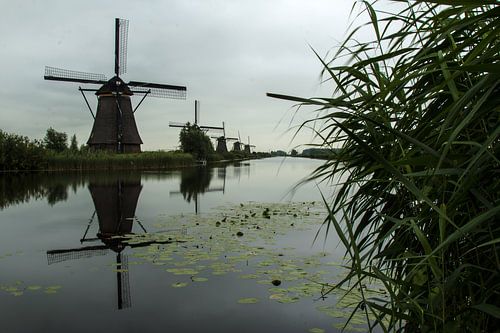 Molens bij Kinderijk