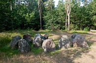 Hunebed D31 van Richard Wareham thumbnail