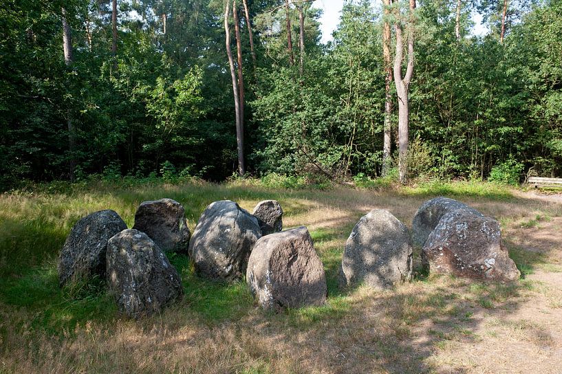 Hunebed D31 van Richard Wareham