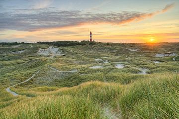 Vuurtoren van Amrum bij zonsopgang van Michael Valjak