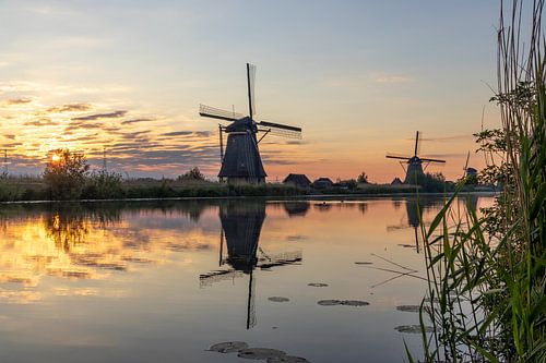 De windmolens in Kinderdijk.
