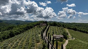 Schilderachtige Toscaanse oprijlaan met prachtige cipressen van Lennart van Wallenburg