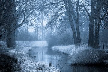 Forêt mystique et ruisseau