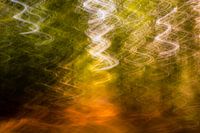 Wald mit Kamera gemalt