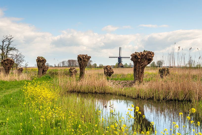 Bunte holländische Polderlandschaft mit Windmühle von Ruud Morijn