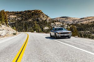 Dodge Challenger in Yosemite National park