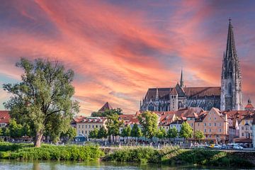 Skyline van Regensburg in Duitsland van Animaflora PicsStock