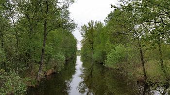 natuur gebied de weerribben