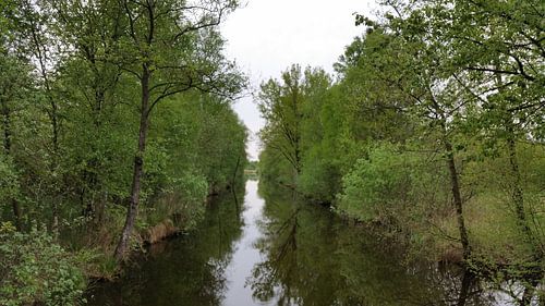 natuur gebied de weerribben