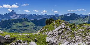 Koblat-Höhenweg am Nebelhorn, dahinter der Hochvogel, 2592m, Allgäuer Alpen,