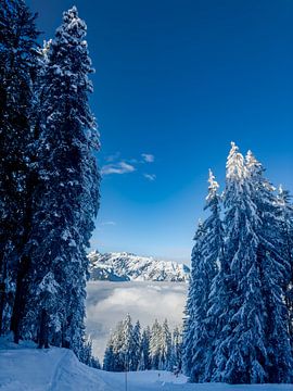 Winterlandschap in Montafon van Dirk Rüter