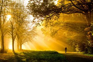 Herfst in het Amsterdamse Bos van Jelmer Jeuring