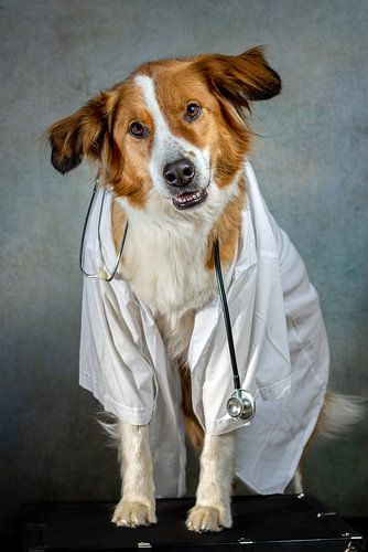 Dokter Cooper