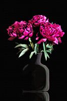 Zwarte vaas met roze pioenrozen low key