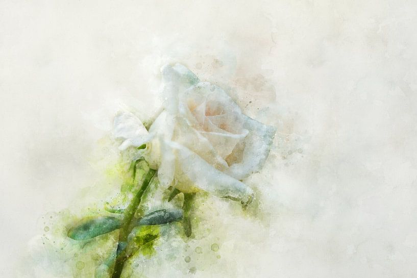 Bloemen 9 van Silvia Creemers