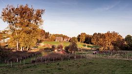 Dateien von Rob Boon