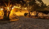Zuiderheide tijdens de zonsopkomst