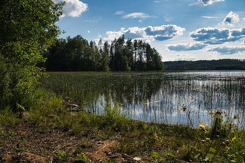 Meer in Zweden met witte wolken, blauw water en bomen aan de oever