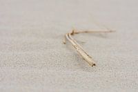 Coastlines I