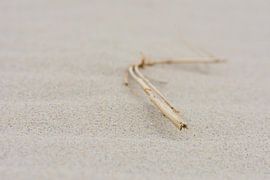 Coastlines I von Mark Leek