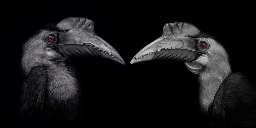 Partners in Crime by Ron Meijer Photo-Art