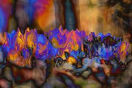 Dance of colours by Photoart-Naegele